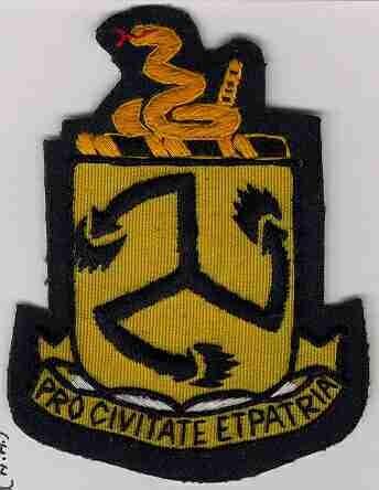 111th Cavalry Regiment handmade cloth patch