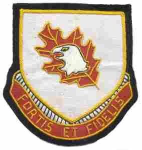 111th Engineer Battalion, Custom made Cloth Patch