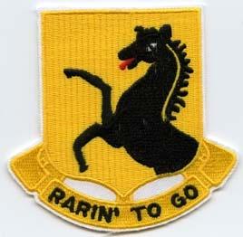 112th Cavalry Regiment Custom made Cloth Patch - Saunders Military Insignia