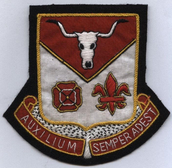 112th Medical Battalion Custom made Cloth Patch
