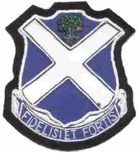 113rd Infantry Regiment Custom made Cloth Patch