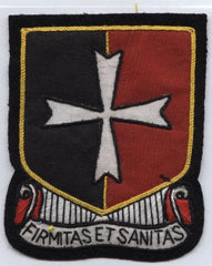 113th Medical Battalion Custom made Cloth Patch - Saunders Military Insignia