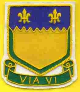 114th Cavalry Regiment Custom made Cloth Patch