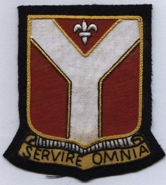 116th Medical Battalion, Custom made Cloth Patch