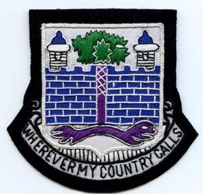118th Infantry Regiment Custom made Cloth Patch - Saunders Military Insignia