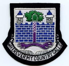 118th Infantry Regiment Custom made Cloth Patch - Saunders Military Insignia