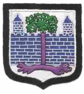 118th Infantry Regiment, Custom made Cloth Patch