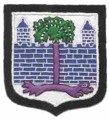 118th Infantry Regiment, Custom made Cloth Patch - Saunders Military Insignia