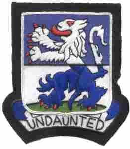 119th Infantry Regiment Custom made Cloth Patch