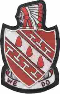 120th Medical Battalion Custom made Cloth Patch