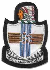 120th Quartermaster Regiment Custom made Cloth Patch - Saunders Military Insignia