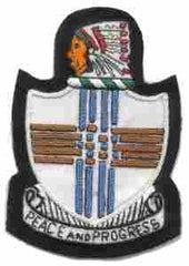 120th Quartermaster Regiment Custom made Cloth Patch - Saunders Military Insignia
