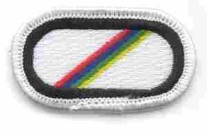 124th Military Intelligence Comapny D (LRSD) Oval - Saunders Military Insignia