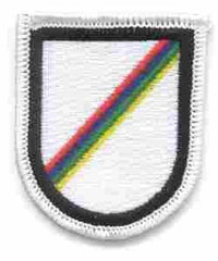 124th Military Intelligence (LRSD, Co. D) Beret Flash - Saunders Military Insignia