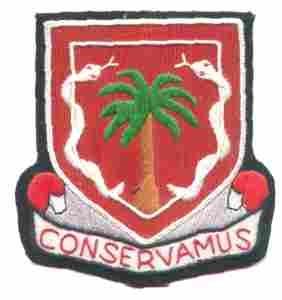 12th Medical Regiment Custom made Cloth Patch