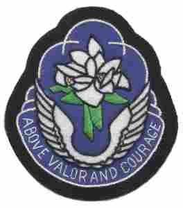 131st Aviation Battalion, Custom made Cloth Patch - Saunders Military Insignia