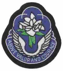 131st Aviation Battalion, Custom made Cloth Patch - Saunders Military Insignia