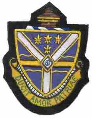 131st Infantry Regiment Custom made Cloth Patch - Saunders Military Insignia