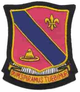 133rd Field Artillery Battalion Custom made Cloth Patch