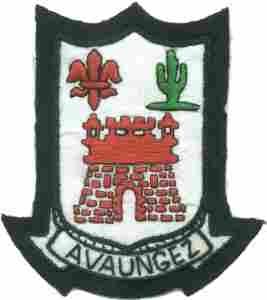 133rd Infantry Regiment Custom made Cloth Patch