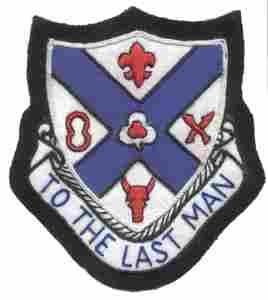 135th Infantry Regiment Custom made Cloth Patch - Saunders Military Insignia
