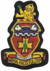 139th Field Artillery Battalion, Custom made Cloth Patch - Saunders Military Insignia