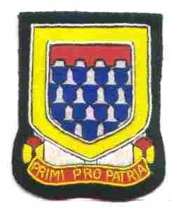 142nd Antiaircraft Artillery Battalion Custom made Cloth Patch - Saunders Military Insignia