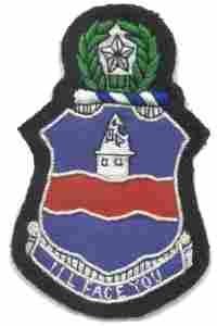 142nd Infantry Regiment Custom made Cloth Patch
