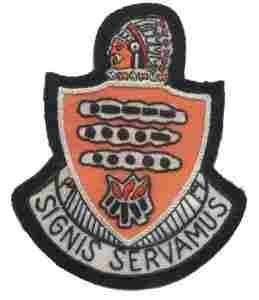 145th Signal Battalion Custom made Cloth Patch