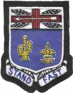155th Infantry Regiment Custom made Cloth Patch - Saunders Military Insignia