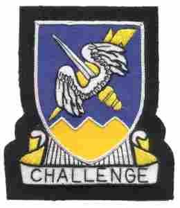 158th Aviation Battalion 101st Airborne Custom made Cloth Patch