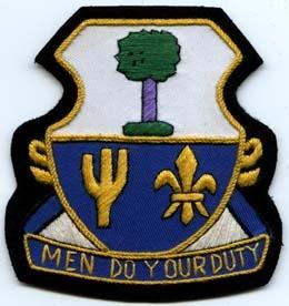163rd Infantry Regiment Custom made Cloth Patch