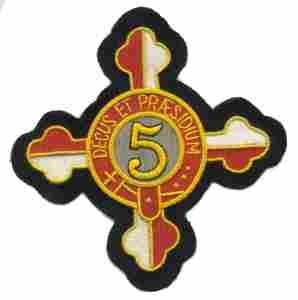 175th Infantry Regiment Patch