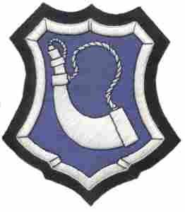 181st Infantry Regiment Custom made Cloth Patch