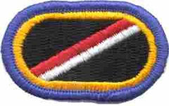 18th Cavalry 1st Squadron Troop E Oval - Saunders Military Insignia