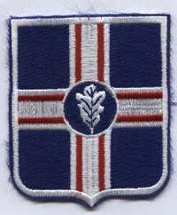 190th Glider Custom made Cloth Patch