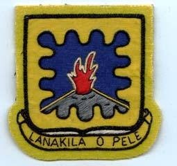 1st Chemical Battalion Custom made Cloth Patch - Saunders Military Insignia