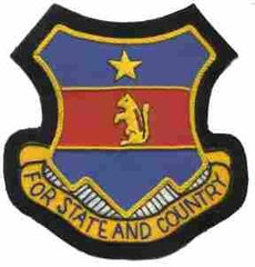 206th Infantry Regiment Custom made Cloth Patch - Saunders Military Insignia