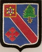 220th Infantry Regiment Custom made Cloth Patch - Saunders Military Insignia