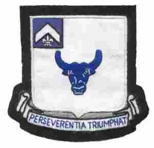 224th Armored Infantry Battalion, Custom made Cloth Patch