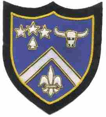 224th Infantry Regiment Custom made Cloth Patch - Saunders Military Insignia