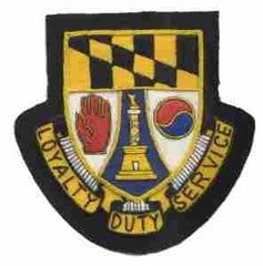 229th Support and Transportation Battalion Custom made Cloth Patch - Saunders Military Insignia
