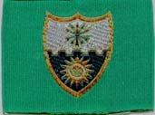 22nd Infantry Regiment Patch - Saunders Military Insignia