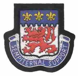 230th Support and Transportation Battalion Custom made Cloth Patch