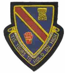 241st Engineer Battalion Custom made Cloth Patch - Saunders Military Insignia