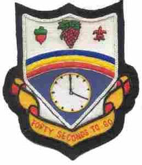 242nd Infantry Regiment Custom made Cloth Patch - Saunders Military Insignia