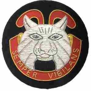 248th Coast Artillery Battalion Custom made Cloth Patch - Saunders Military Insignia