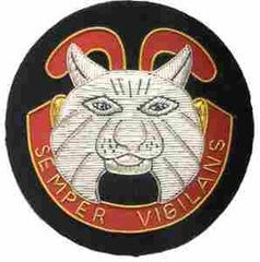 248th Coast Artillery Battalion Custom made Cloth Patch - Saunders Military Insignia