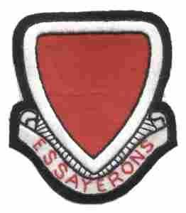 290th Engineer Battalion Custom made Cloth Patch