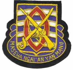 294th Infantry Regiment Patch, Handmade